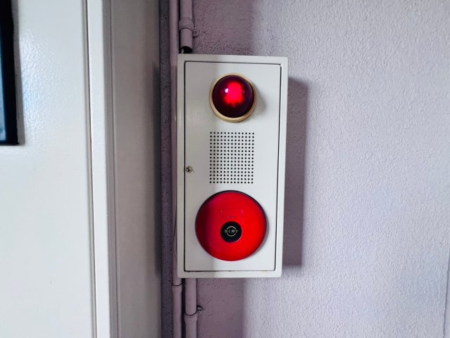 ラ・ミア・カーサのその他