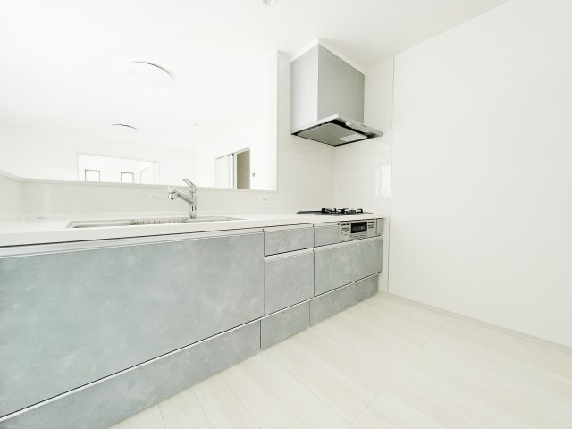 新築戸建　白河市追廻　イロドリライト　全3棟のキッチン