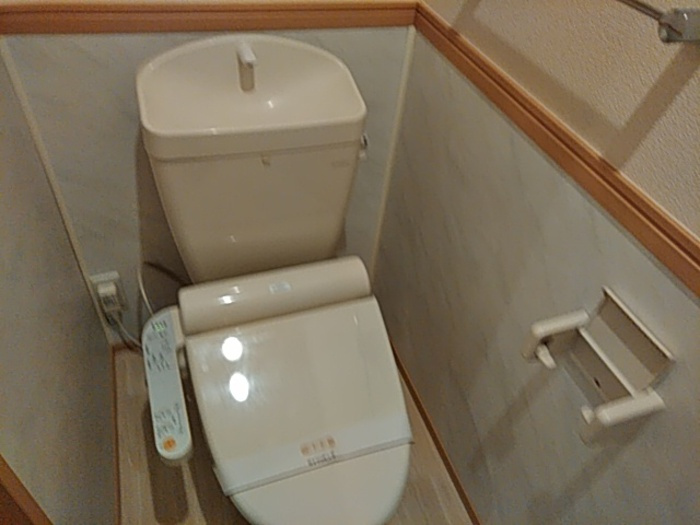 ティルタ サリのトイレ