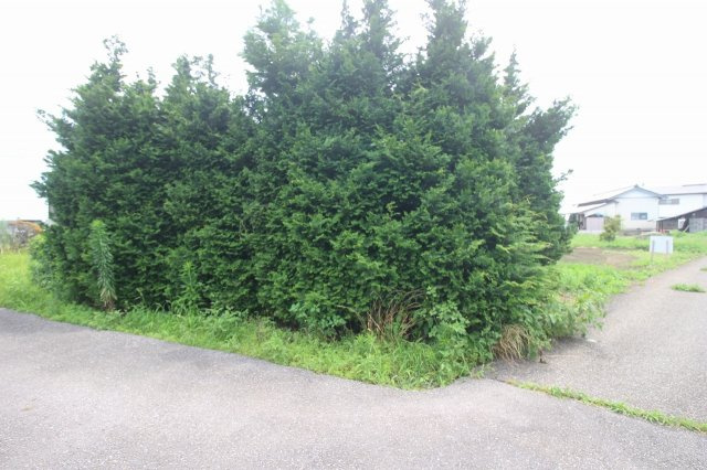 壬生町安塚の外観|北西側より（2022年7月撮影）