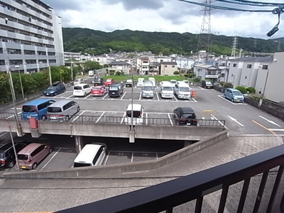 【展望】 | サングリーン野崎