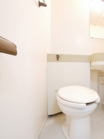 シティハイツピコのトイレ