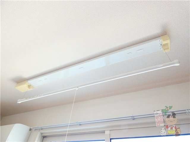 Ｆｏｒｅｓｔ　ＶａｌｌｅｙⅢ　Ｂのその他