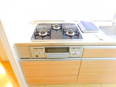 【その他】 | アルヴィータ