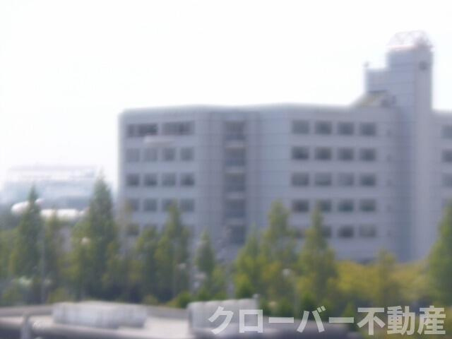 サンプラザ・ベビードール