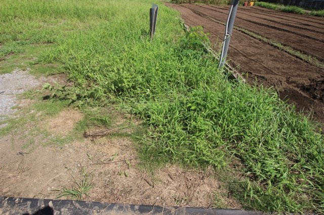 栃木市吹上町の外観|東側境界付近