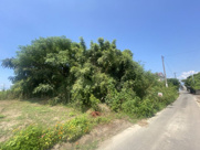 宇土市網津町の画像