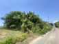 宇土市網津町の画像