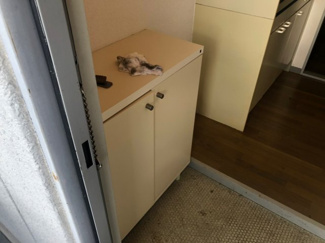  | ヴィラ曽我部