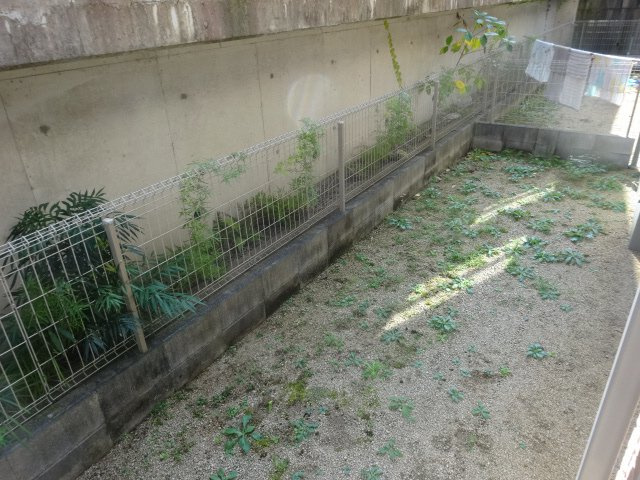 Origin Matsuoka　A棟の庭
