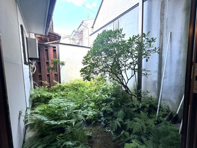 【庭】 | 紫野下築山町貸家
