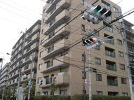 ベルシャトゥ府中是政の画像