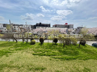 【展望】 | 令和６年の春の様子です♪