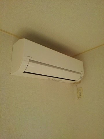 カザミラのその他