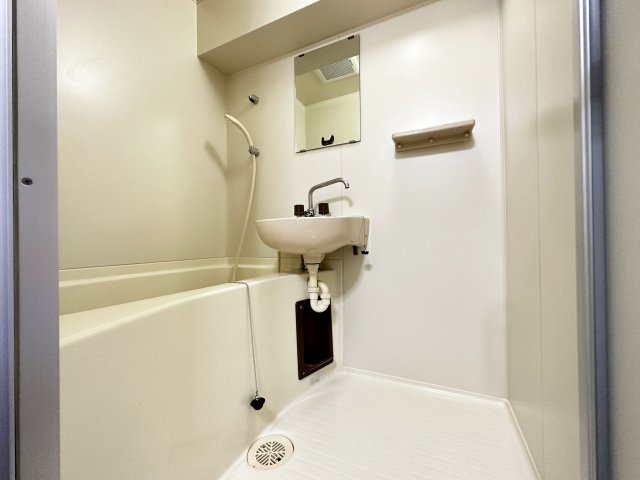 クレメント南宝永の洗面所