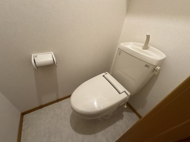 メゾンプラージュⅡのトイレ