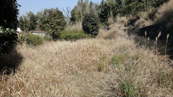 熱海市下多賀　売地の画像