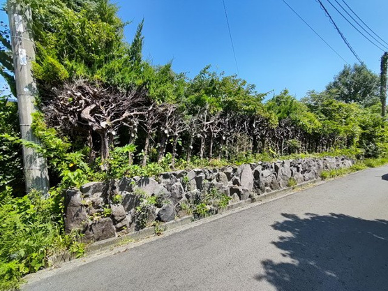 【外観】 | 大室高原別荘地 古家付売地