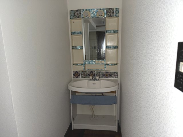 中浜UY借家の洗面所