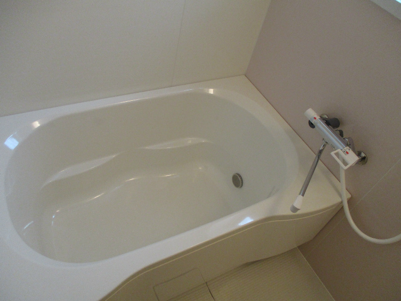 コンコルディアちゃやがさかNＯＲＴＨの浴室