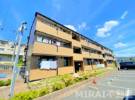スウィート松本の画像