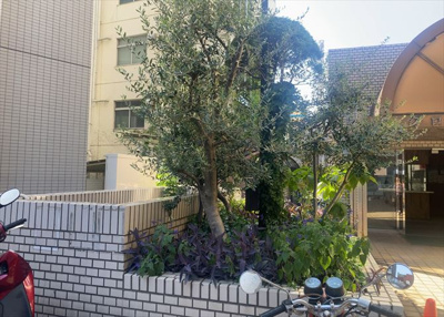 【庭】 | アカデミーグローリア初穂合同ビル | 物件によっては、入居者が個人的に使用できる専用庭がついているものもあります。また、住宅の中にある土間の部分を庭と呼ぶこともあります。庭の用途は住む人によって変わり、それによってデザインもさまざまです。