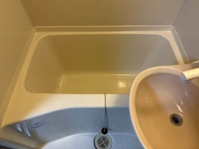 リバーパレス浜田の浴室