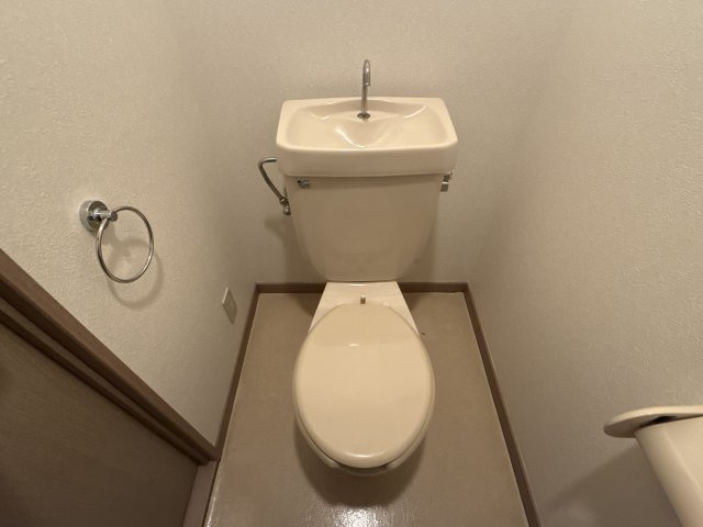 リバーパレス浜田のトイレ