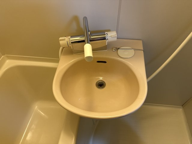 リバーパレス浜田の洗面所