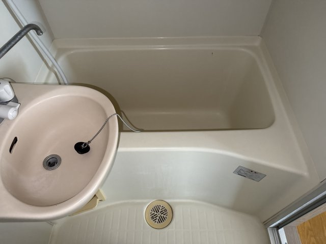 リバーパレス浜田の浴室