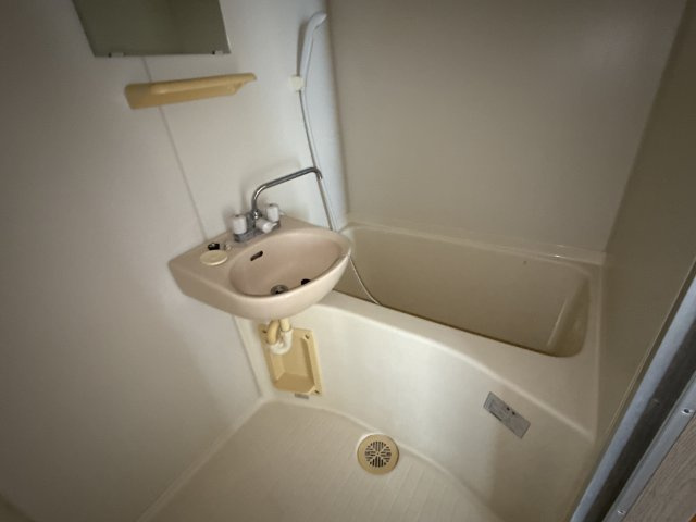 リバーパレス浜田の浴室