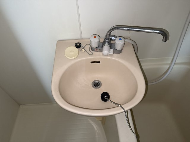 リバーパレス浜田の洗面所