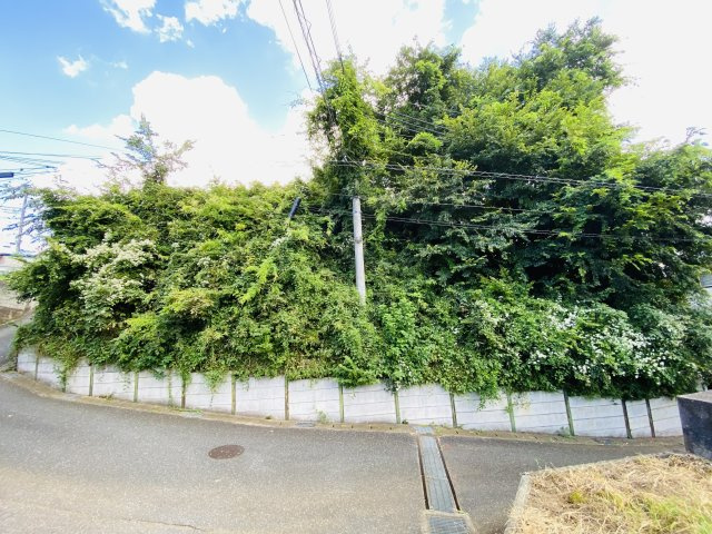 売地（約125坪 約413㎡）建築条件なし 印旛郡酒々井町下岩橋