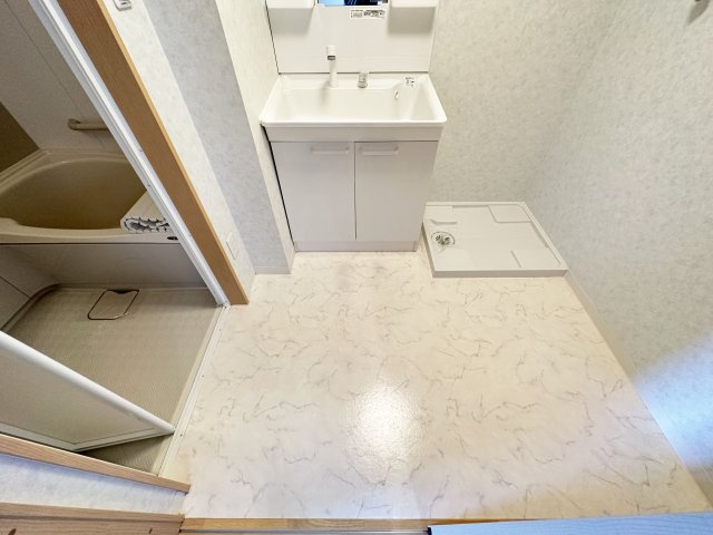 クレドール南川添の洗面所