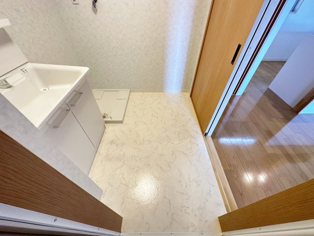 クレドール南川添の洗面所