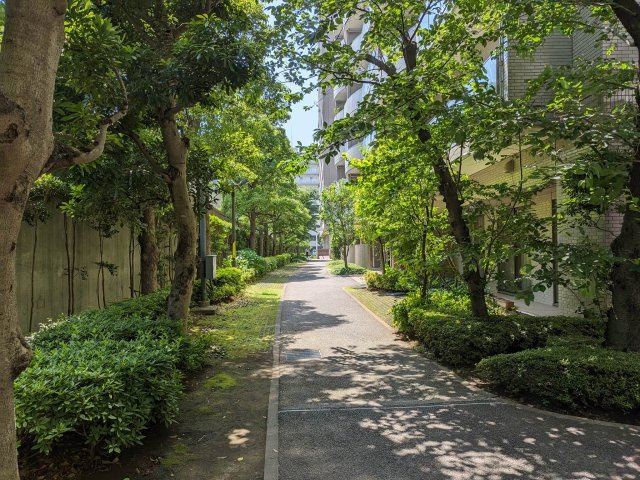 アルカハビタのその他共用部分|敷地内の植栽