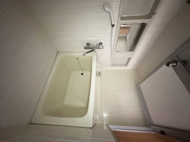 ドリームハウスの浴室