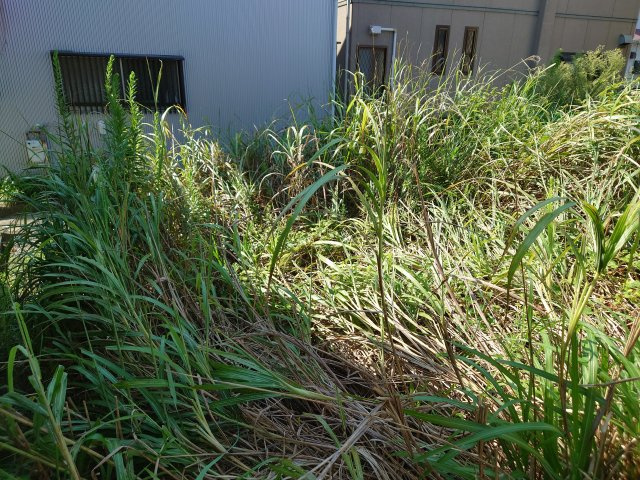 売土地　焼津市中港５丁目の外観