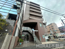 パレフラックスの画像