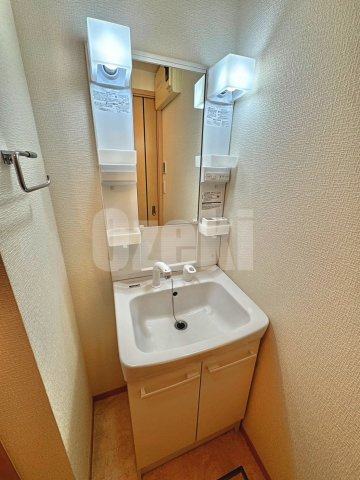 ライネス北越谷の洗面所|弊社ホームページに写真がたくさんあります♪