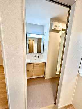 プラム江坂の洗面所