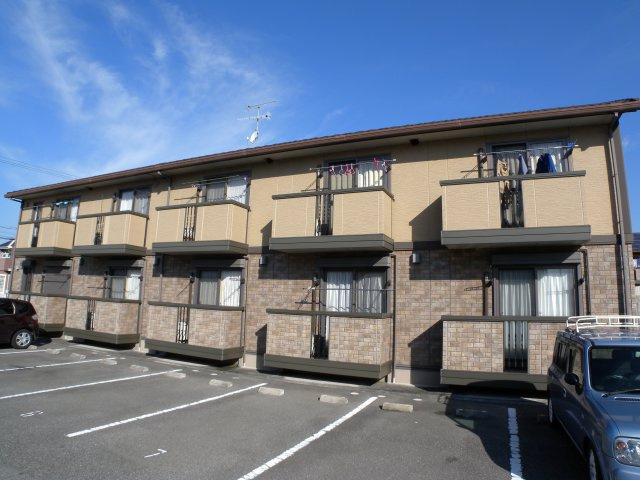 セントラルグレイス