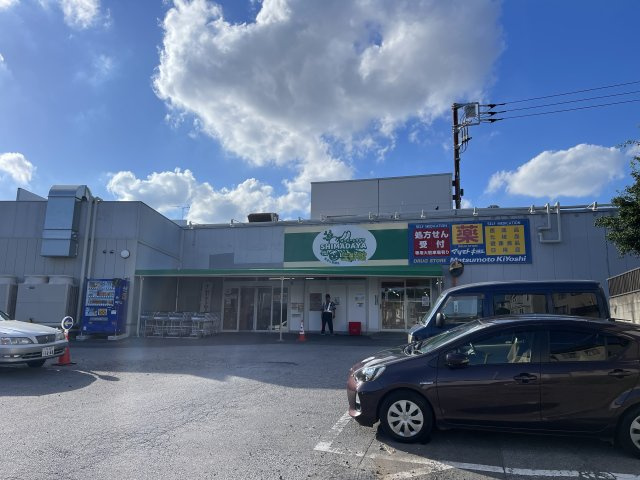 柏市東中新宿３丁目新築戸建（東中新宿７期）の周辺|生鮮館シマダヤまで700ｍ