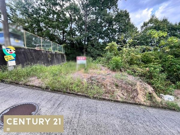 橋本市隅田町下兵庫の売地のその他