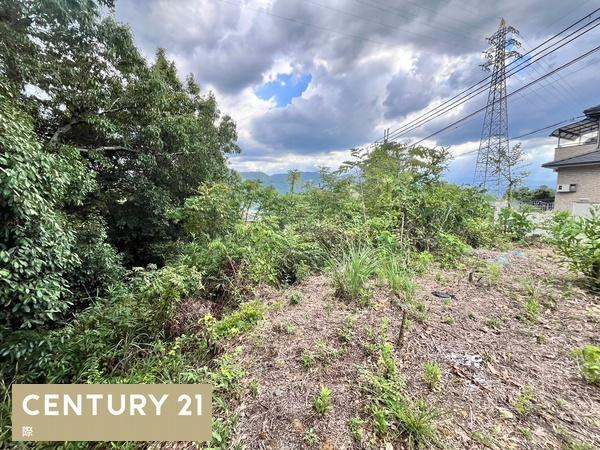 橋本市隅田町下兵庫の売地のその他