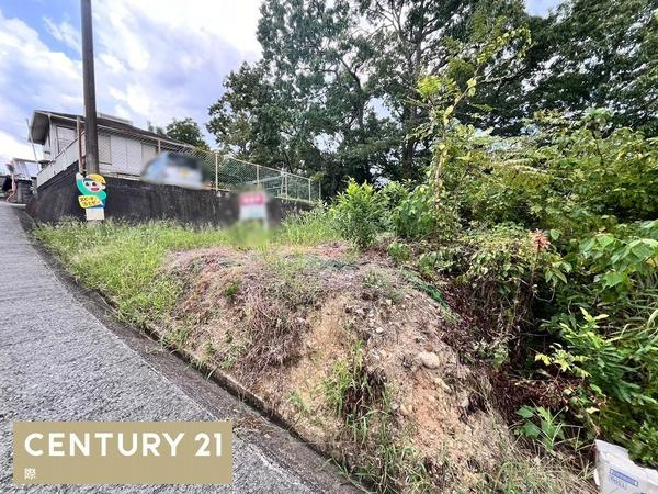 橋本市隅田町下兵庫の売地のその他