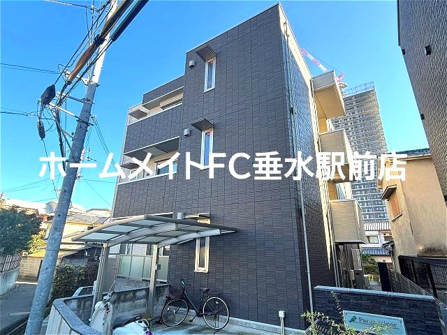 パルスミノール