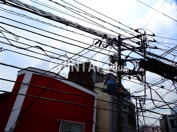 ルピナスの展望