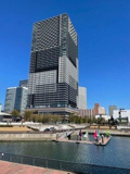 ブランズタワー豊洲の画像