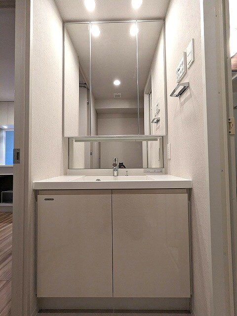 ONE ROOF RESIDENCE上野御徒町の洗面所|トイレと独立した洗面室、三面鏡付き、ハンドシャワー付き洗面台
